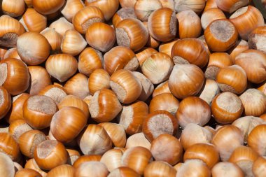 set bir fındık oluşan arka plan