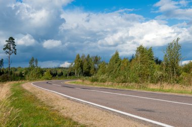 İki yönlü orman yolu döner