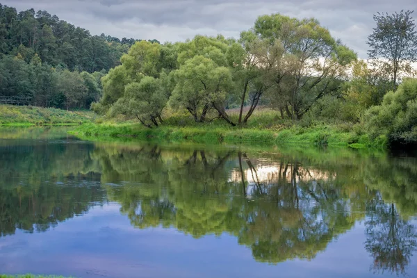 Široká řeka v green bank zarostla lesem Stock Fotografie