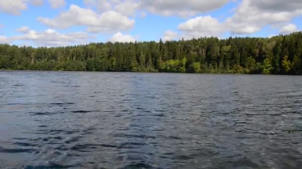 Тихая летняя погода на озере в лесу — стоковое видео