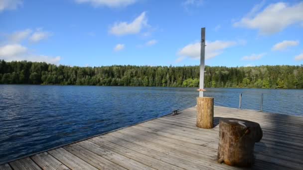 Träbrygga på stora skogstjärn — Stockvideo