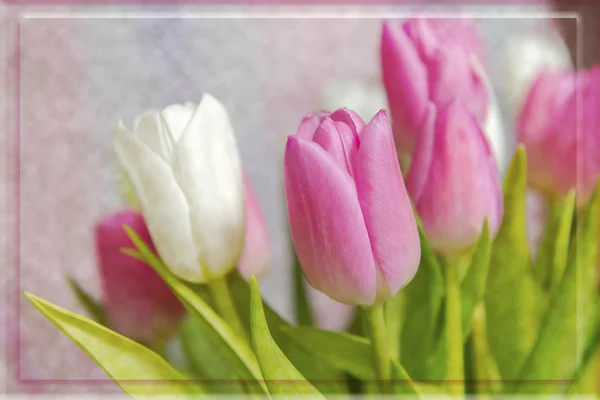 Bouquet de tulipes dans une carte de vœux — Photo