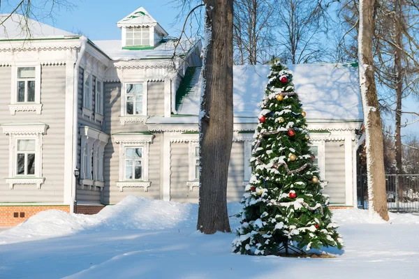 Рождественская елка в снегу солнечный зимний день — стоковое фото