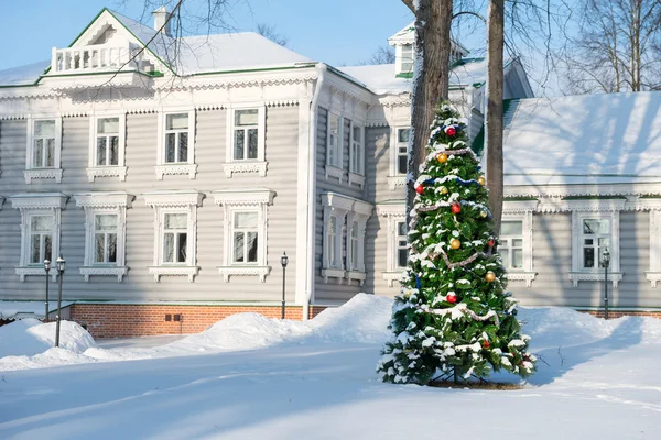 Noel ağacı güneşli kış günde karda