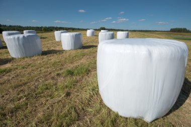 Tarım iş. Rulo olarak Paketli çimen