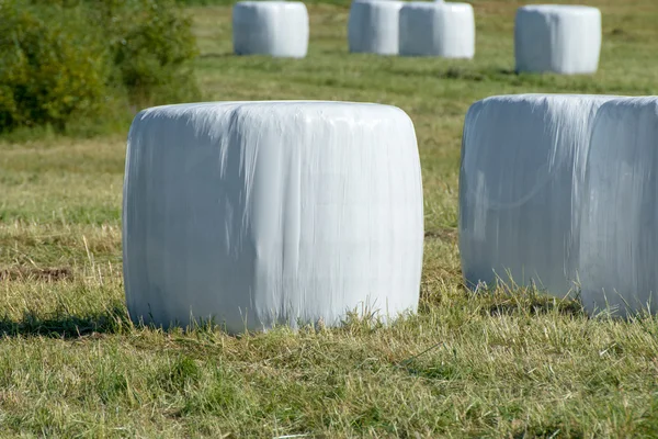 Bele okrągłe siana w plastiku zawiń pokrywa — Zdjęcie stockowe