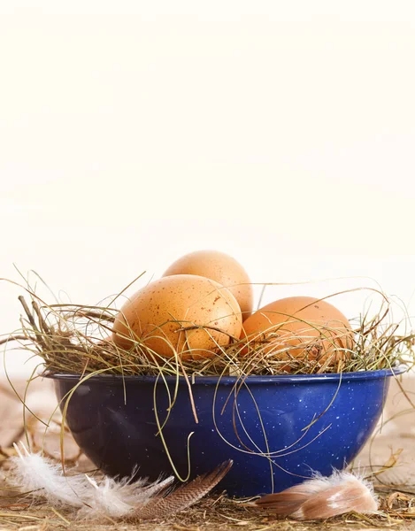 Bauernhof-Eier in blauem Emaille-Becher und Löffel — Stockfoto