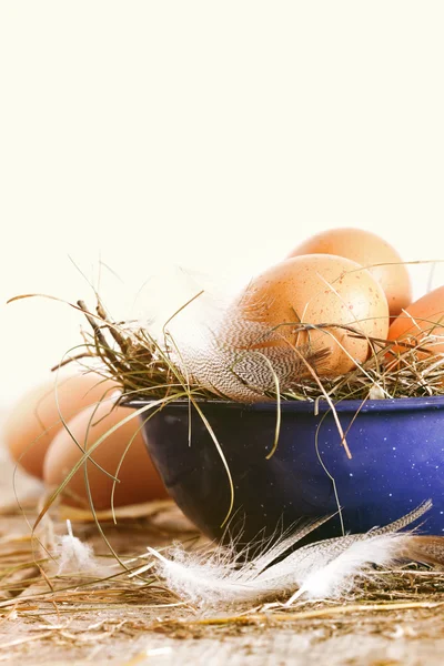 Farm ägg i blå emalj kopp och sked — Stockfoto