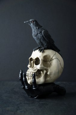    Kafatası ile iskelet elinde siyah kuş                       