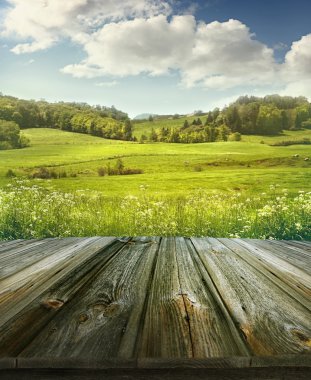ahşap plakalar ile yaz pastoral arka plan 