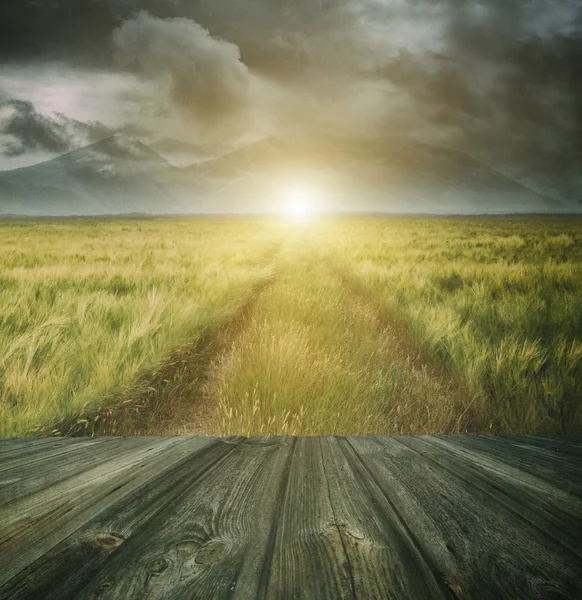 Suelo de madera con un camino de pradera en el fondo — Foto de Stock