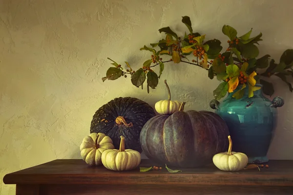 Calabazas de otoño y calabazas en la mesa — Foto de Stock