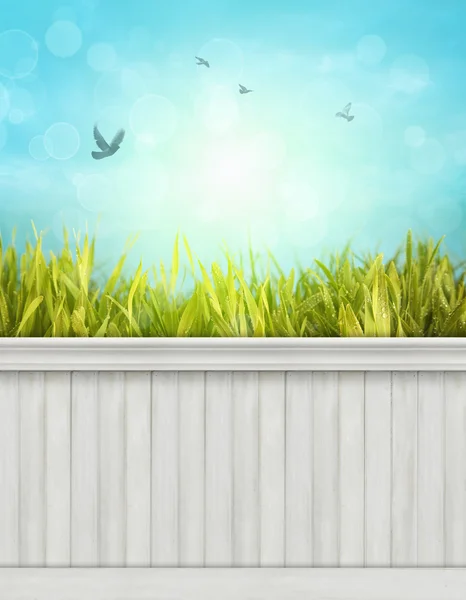 Spring wall background — Stock Photo, Image