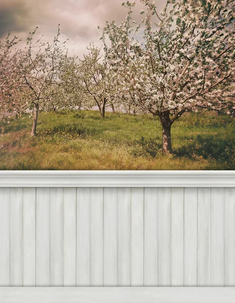 Tło wiosna ściana — Zdjęcie stockowe