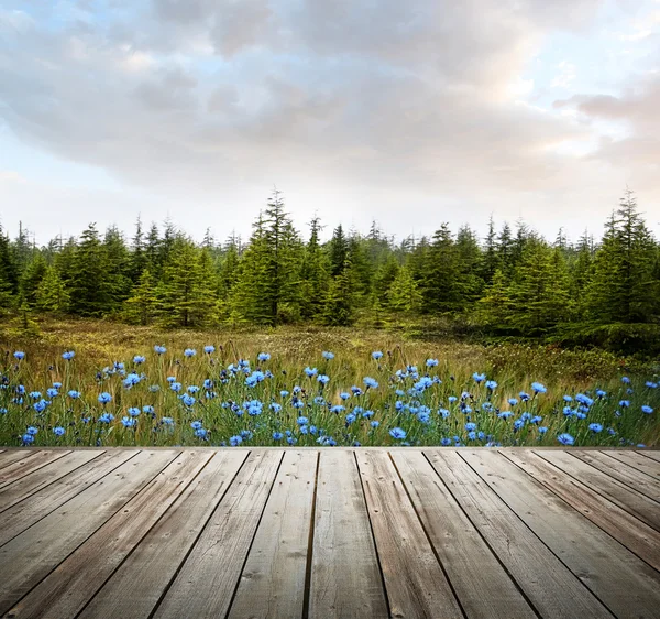 Дерев'яна палуба з лісовими деревами і квітами — стокове фото