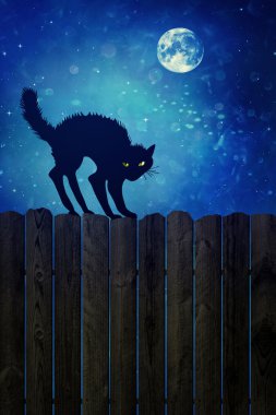 Geceleri ahşap çit üzerinde siyah kedi