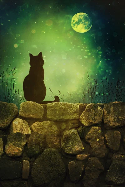 Black cat on rock wall Halloween night — Stock Photo, Image