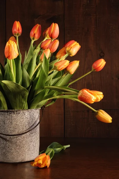 Tulipanes amarillos y naranjas en cubo viejo — Foto de Stock