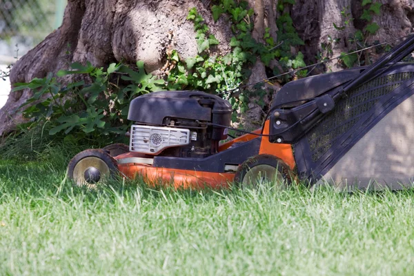 Grasmaaier Man — Stockfoto