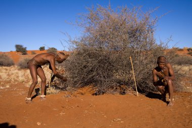 San insanlar yerel yerleşim