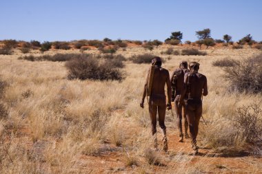 San insanlar yerel yerleşim