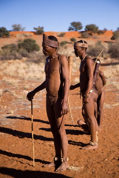 San lidé v původní osadě — Stock fotografie