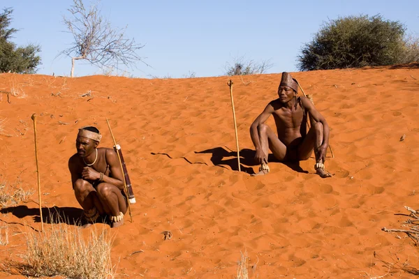 San people in native settlement — Stock Photo, Image