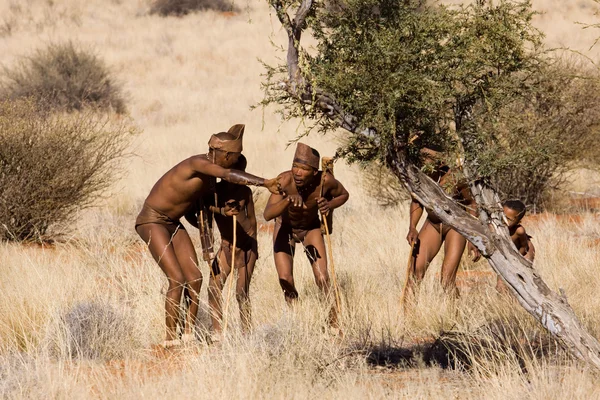 San people in native settlement — Stock Photo, Image