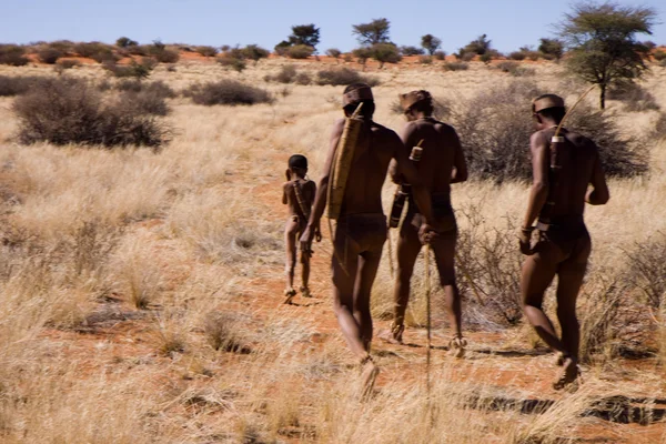 San folk i innfødt bosetning – stockfoto