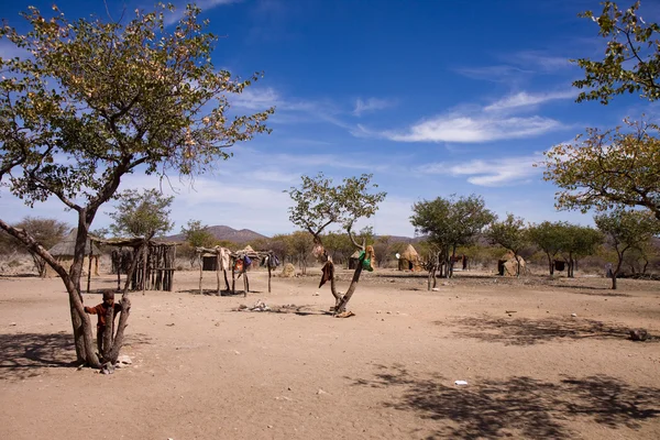 Native Himba village — Stock Photo, Image