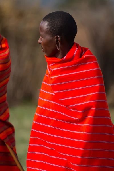 Kenyan maasai man in mantle — Stock Photo, Image