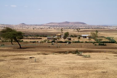 Masai kabilesi kırsal