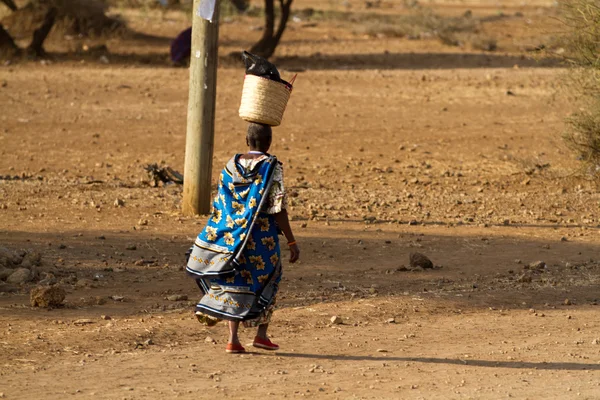 Masai tribal kvinna — Stockfoto