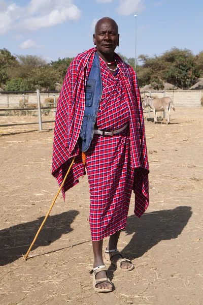 Masai tribal man — Stock Photo, Image