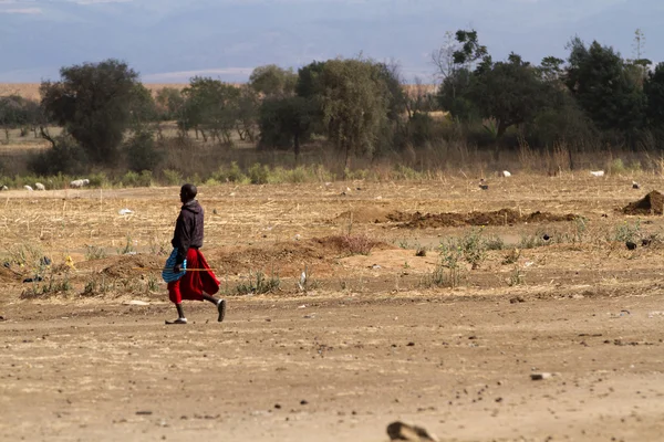 Masai tribal man — Stock Photo, Image