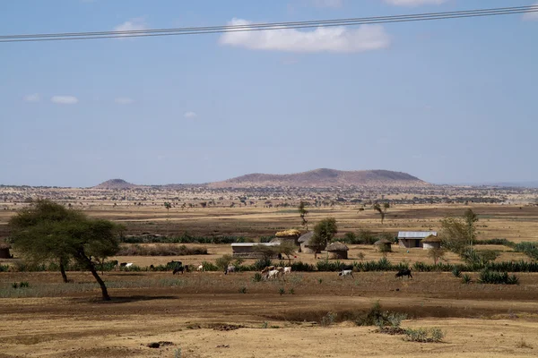 Tribu Masai campagne — Photo