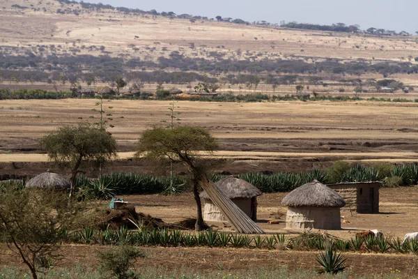 Campo de la tribu Masai — Foto de Stock