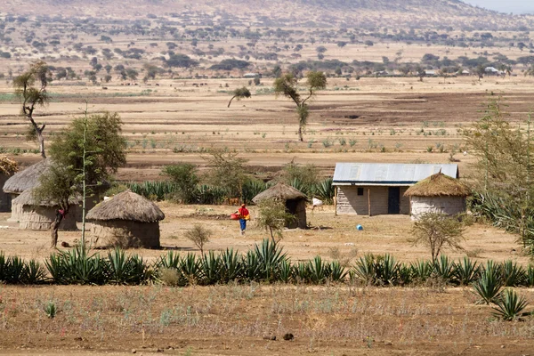 Masai tribe countryside — Stock Photo, Image