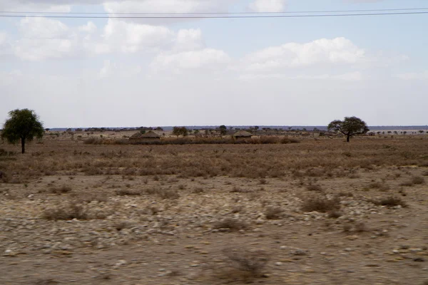 Landschap van tanzania — Stockfoto