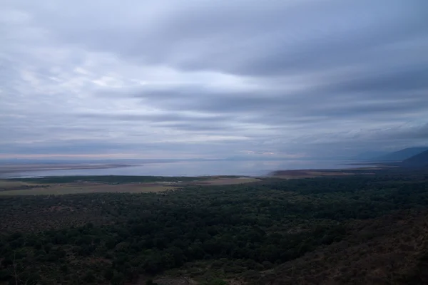 Hermoso paisaje con árboles —  Fotos de Stock