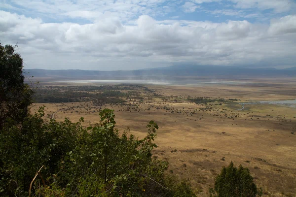 Ngorongoro ochrony obszaru krajobrazu — Zdjęcie stockowe