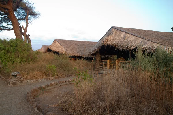 Amboseli Ulusal Parkı