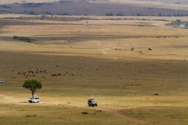 Masai mara rezerv arabalara turist