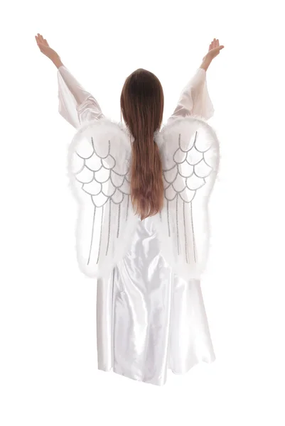 Anděl stojící z zpět 12. — Stock fotografie