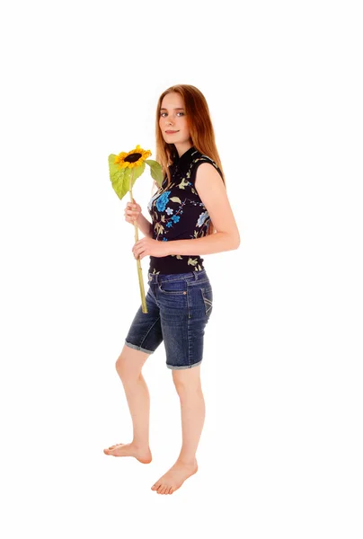 Standing girl with sunflower. — Stock Photo, Image