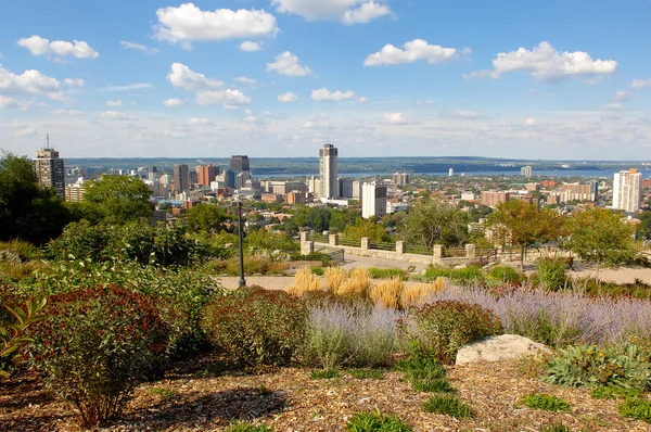 City on the lake and park. — Stock Photo, Image