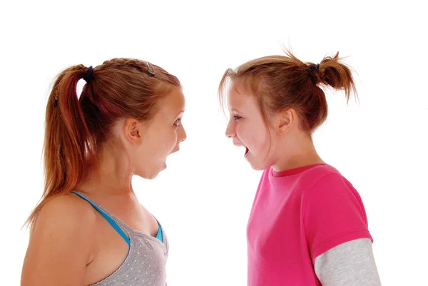 Twee zussen schreeuwen bij elkaar. — Stockfoto