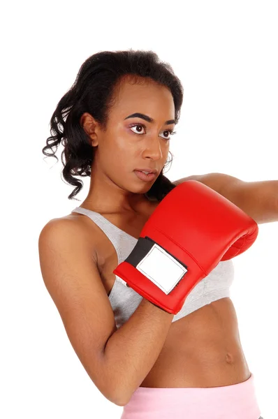 Africano mulher americana com luvas de boxe . — Fotografia de Stock