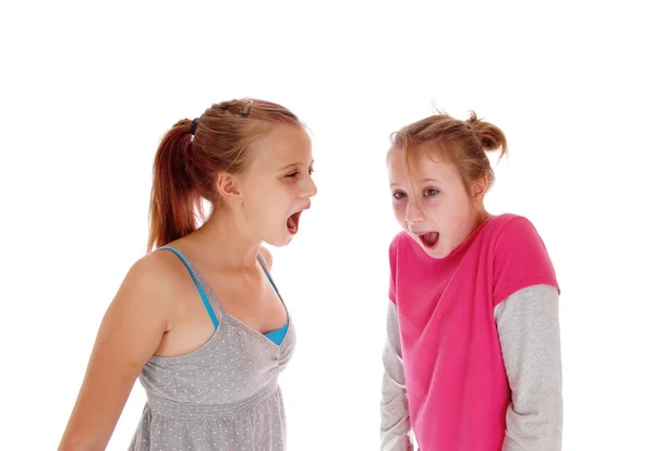 Dos hermanas gritándose unas a otras . —  Fotos de Stock