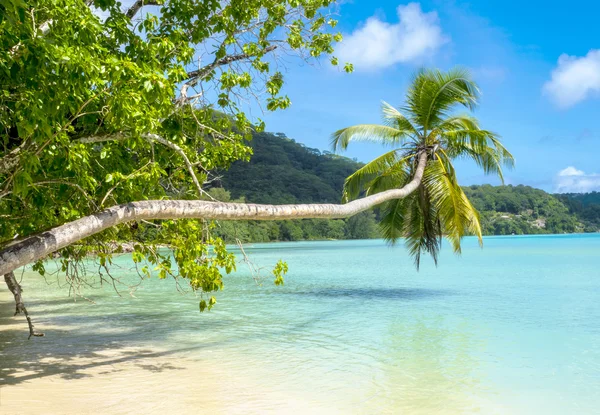 Praia tropical bonita em Seychelles — Fotografia de Stock